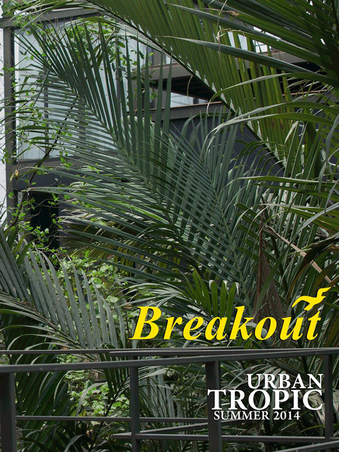 Breakout Pakistan fashion brand website billboards